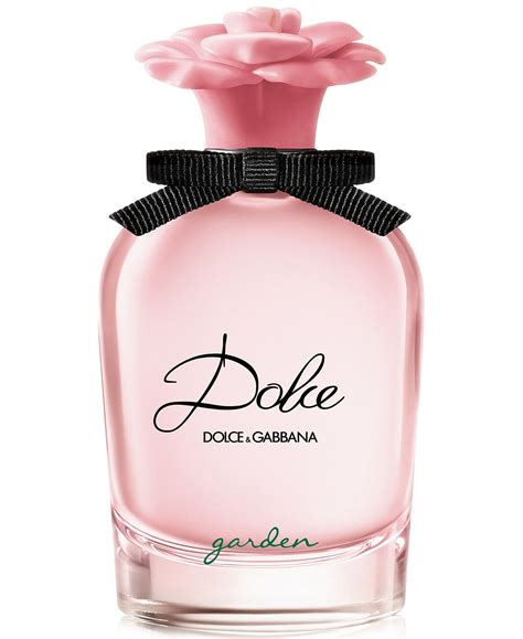 dolce dolce & gabbana perfume|dolce perfume.